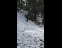 Collab ShredSlams - man in black outfit slides down sled down snow