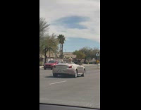 Man drives convertible car with dog 
