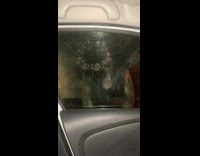 People in zombie costumes scaring people inside cars