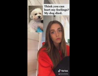 Red sweater girl dead white dog bulletproof