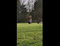 Two Male Models Walk down Park like its a Runway