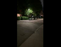 Shadow of leaves over light gives kaleidoscope effect 