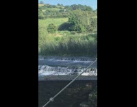Guy black tank top sit ledge creek