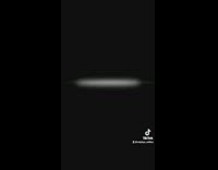 Lady pranks dog sneaks up and scares it 