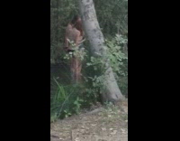 Two girls selfie creek water tattoo tree