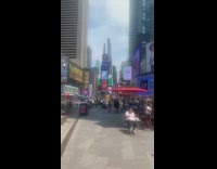 Nest of bees is seen in Times Square 