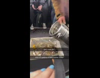 man dumping beer from keg on train