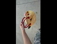 Collab KaleSaladIG - Woman buys wears a chicken purse