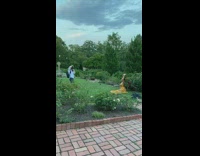 Girl yellow dress sit grass raise arms