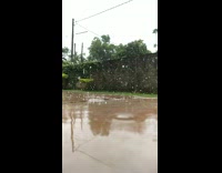 Raindrops Fall on Ground in Slow Motion 