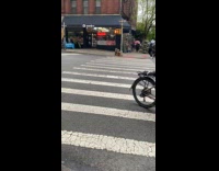 Collab WINY - Teddy bear sit on sidewalk beside trash can