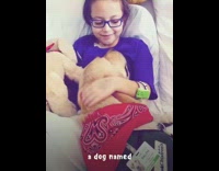 ralph lauren dog heart warming story