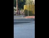 Woman blonde violet bikini grass hedge sidewalk