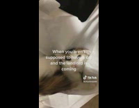 Orange brown white cat inside of white plastic bag