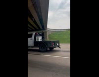Dog ride on flatbed pickup truck highway