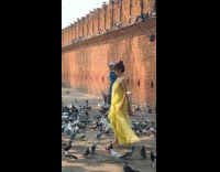 Woman yellow dress spins around pigeon flock