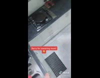 Lizard zooms across hallway in house 