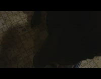 Guy brown labrador dog diet challenge fail 