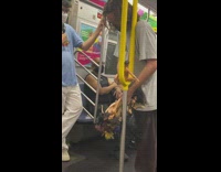 Man wraps naked Ken doll around train pole 