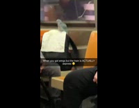 Bird sits on backpack on train seat
