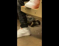 Large turtle in train 