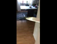 Guy stabs air with knife and catches kills fly 