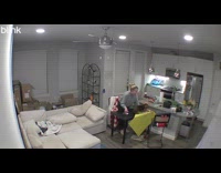 Dog jump on table and ruin puzzle