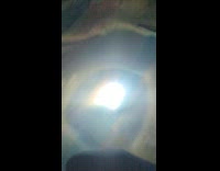 Guys caught up fly under the light