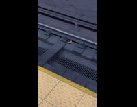 Collab Subway Creatures - Two rats take pizza crust on train tracks