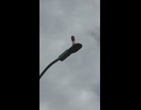 Reusable Water Bottle on top of Street Lamp 
