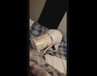 Dog eats ice cream gets tub stuck on head