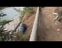 woman in orange beanie falls off log in forest