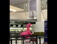 Pink flamingo costume pushes luggage cart airport 