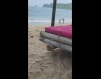 Guy Models on Knees in the Water Shore
