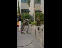 Woman in black dress poses at the park with a dog sculpture