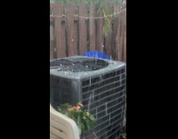 Submitter in florida films hail storm 