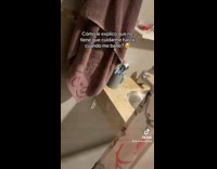 Cat waits for owner inside the bathroom