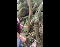 Man does inappropriate pose with a human like tree