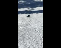 Guy falls off inflatable tube does scorpion 