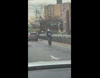 Guy rides segway ninebot on street 