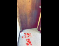 Collab BitchMP - Woman follows rose petals dinosaur in bed