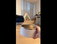 Collab Pubity - Lady Shakes Food Bowl with Treats for Dogs