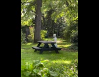 Large skeleton decoration sits black picnic table 