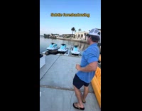 Collab Clips MPUGC - Sea lion barks at guy with paddle