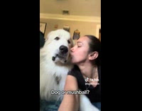 Woman kiss white dog beside of her