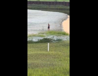 Collab IITW - Woman gray tank top tiktok at beach