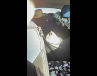 Dog sleep in car hammock head rest 