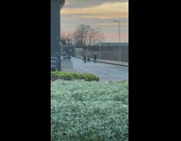 Family dance tiktok behind Aldi sunset, cart