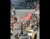 Collab IITW - Man crop top poses side of road