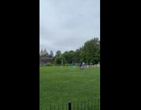 Submitter films group does yoga at park